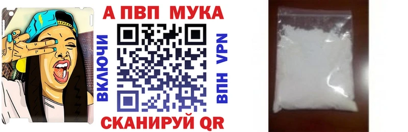 Альфа ПВП СК КРИС Шагонар